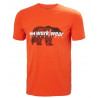 Tee-Shirt Graphic Helly Hansen 79261 WorkWear