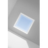 Fenêtre de toit plat fixe Velux CFU 0020Q Double Vitrage