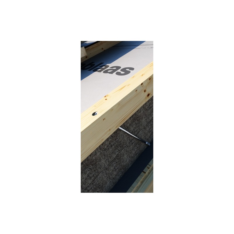 Vis sarking double filets DGZ/DWZ Rotho Blaas